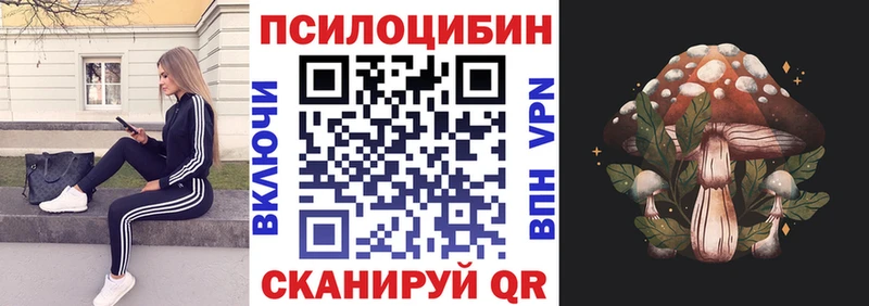 продажа наркотиков  Кореновск  Галлюциногенные грибы Psilocybe 