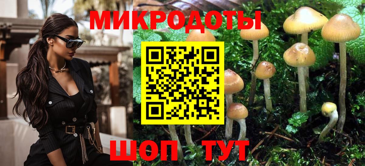 Галлюциногенные грибы Cubensis Кореновск